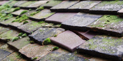 Great Wilbraham roof repair costs